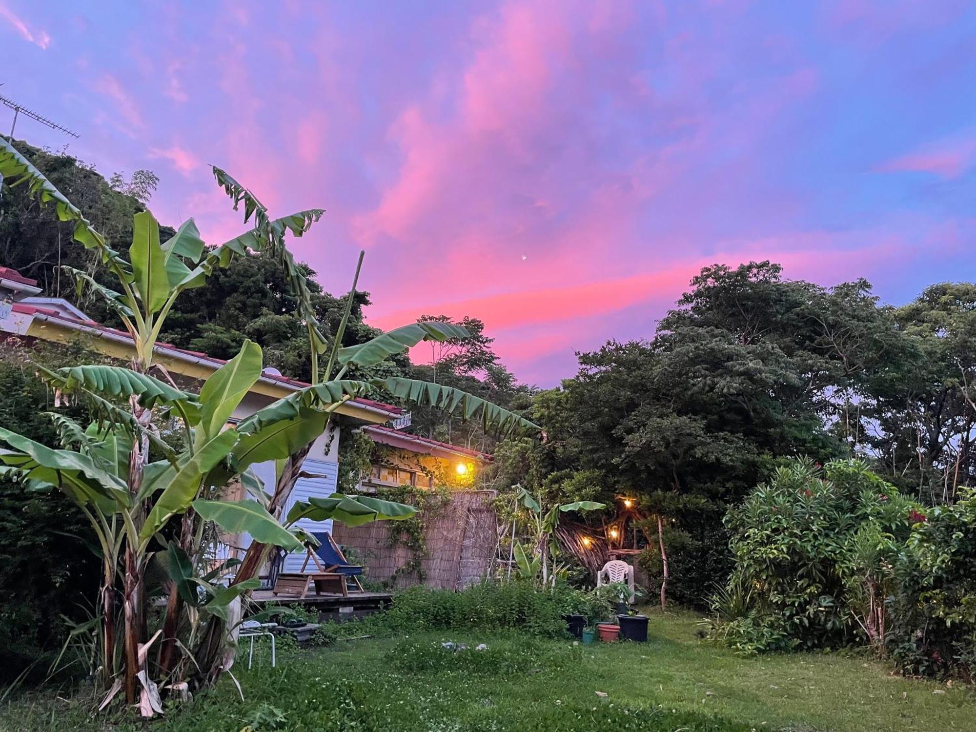 Guesthouse Papaya Shimoda  Exterior foto